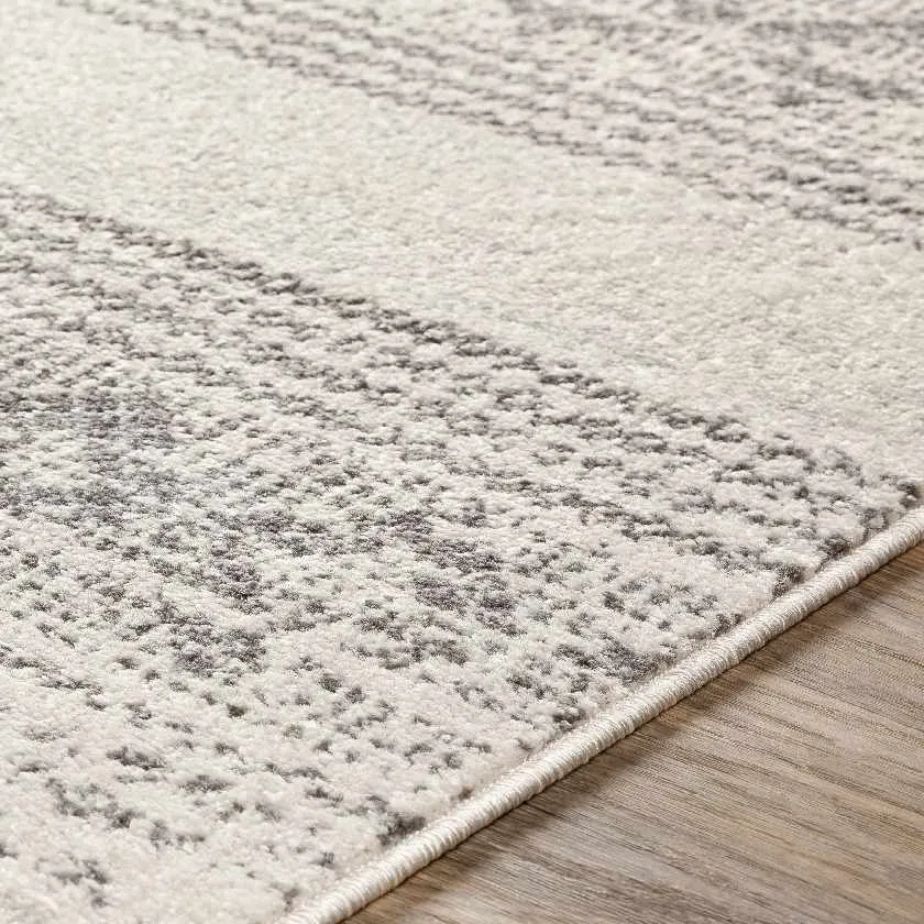 Nalyork Bohemian/Global Area Rug